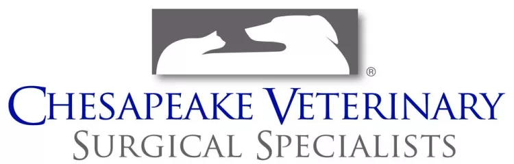 Chesapeake Veterinary Surgical Specialists, Maryland, Towson